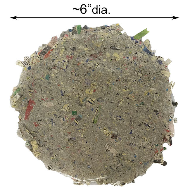 GreenBird Black-Eyed Susan Seed Pies