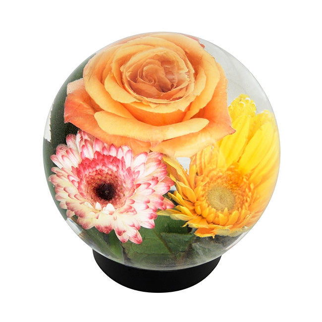 Achla Designs Flower Aquarium