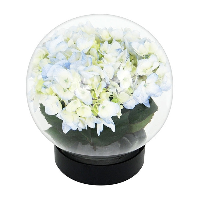 Achla Designs Flower Aquarium