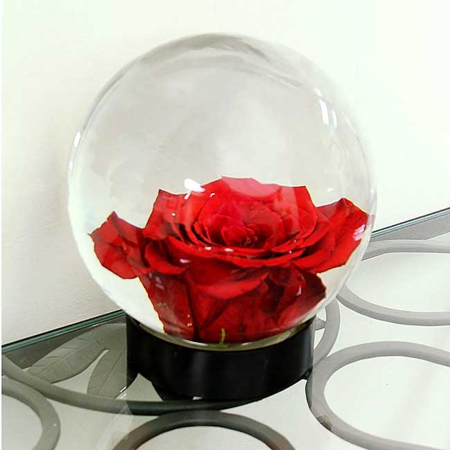 Achla Designs Flower Aquarium
