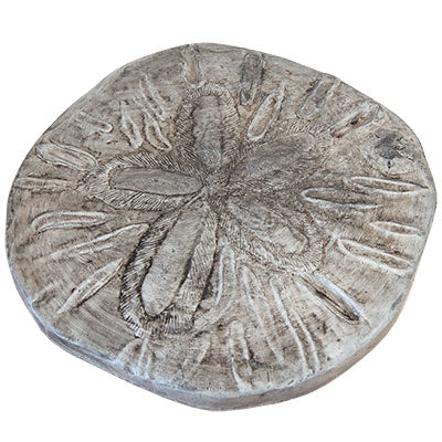 Athens Sand Dollar Stepping Stone, Pre Aged