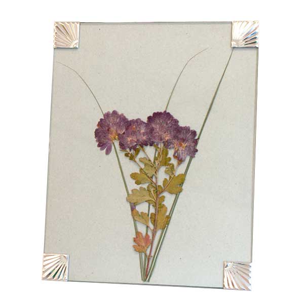 BestNest Nature Press, 12" x 18"
