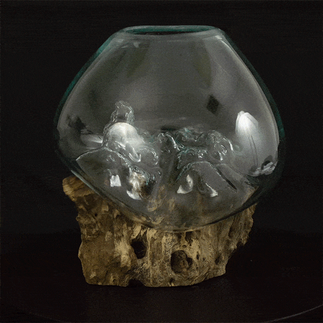 Cohasset Molten Glass Bowl & Natural Wood Sculpture, Large
