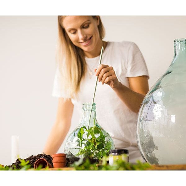 Esschert Design Terrarium Vessel with Tools, Large, Green