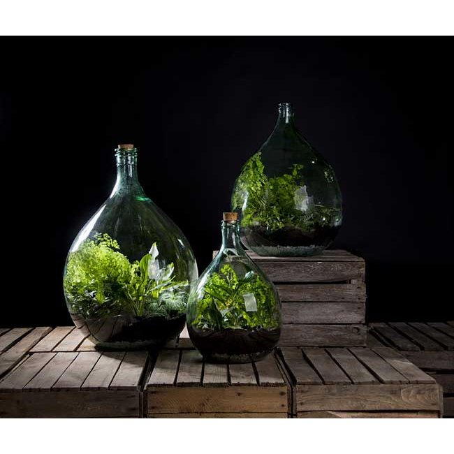 Esschert Design Terrarium Vessel with Tools, Large, Green