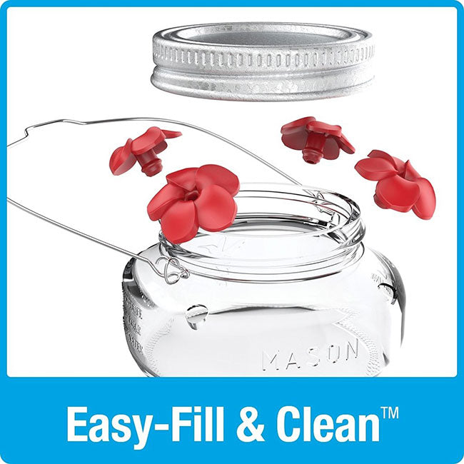 Nature's Way Mason Jar Hummingbird Feeder, 6 oz.
