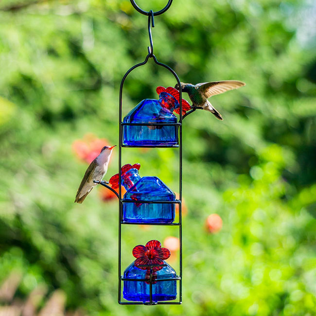 Parasol Lunch Pail Hummingbird Feeder, Blue, 10.5 oz.