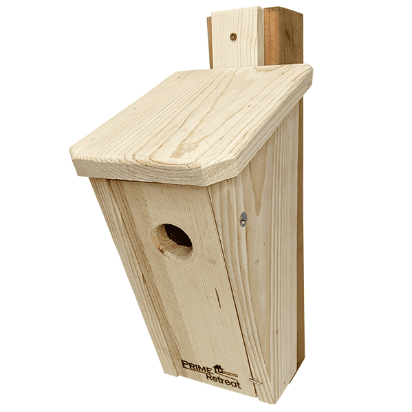 Slant-Front Bluebird House by Prime Retreat