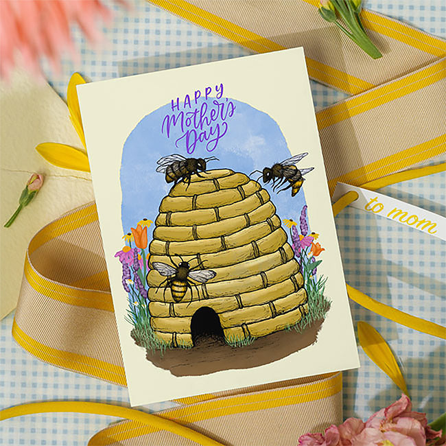 Illustrated Greeting Card Assortment by Prime Retreat