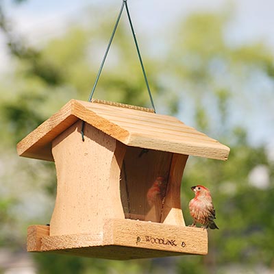 Woodlink Hopper Feeder DIY Craft Kits, Club Pack of 6