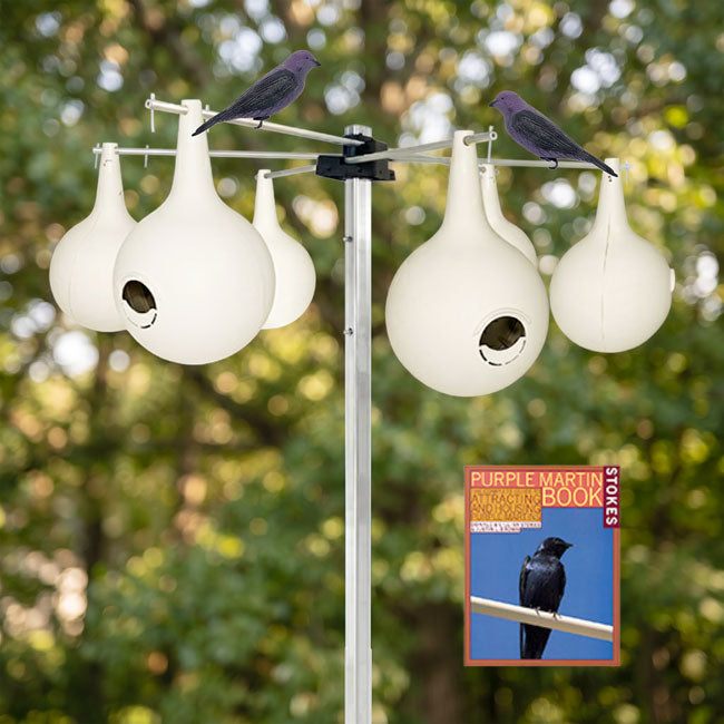 Purple Martin Gourds with Hanging Bracket and Pole Kit