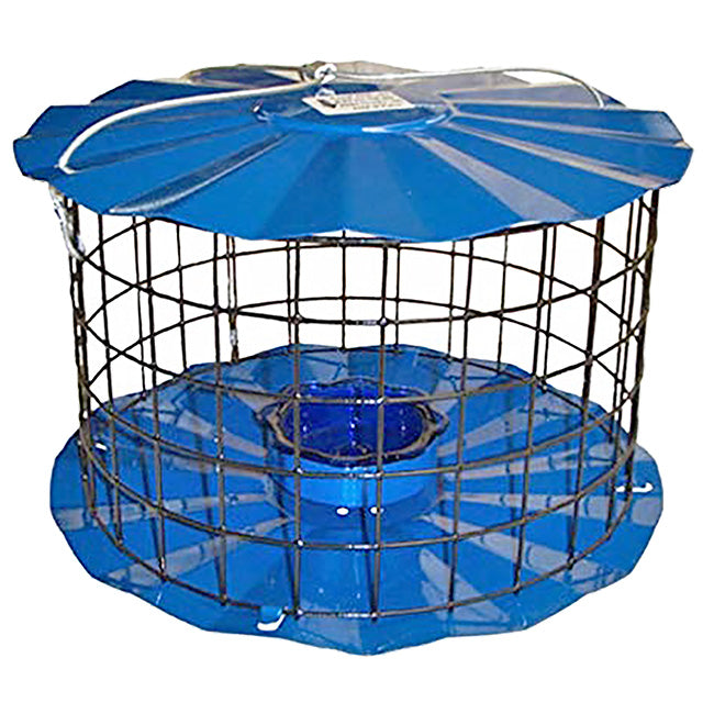 Erva Caged Bluebird Feeder, Blue
