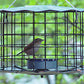 Erva Caged Bluebird Feeder, Blue