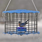 Erva Caged Bluebird Feeder, Blue