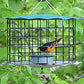 Erva Caged Bluebird Feeder, Blue