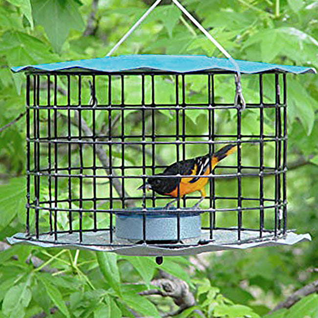 Erva Caged Bluebird Feeder, Blue