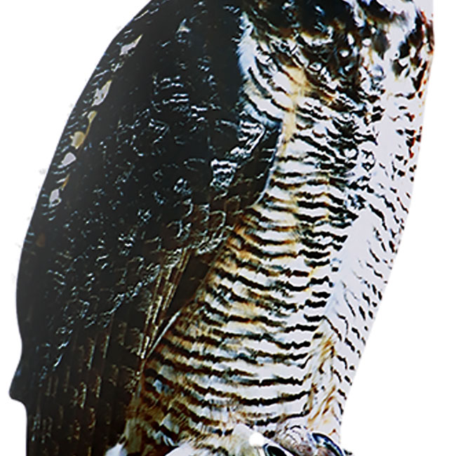 Esschert Design Hanging Scarecrow Owl, 15.25"