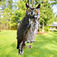 Esschert Design Hanging Scarecrow Owl, 15.25"