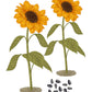 GreenBird Sunflower Seed Pies