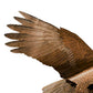 Jackite Bald Eagle Kite & Fiberglass Telescoping Pole