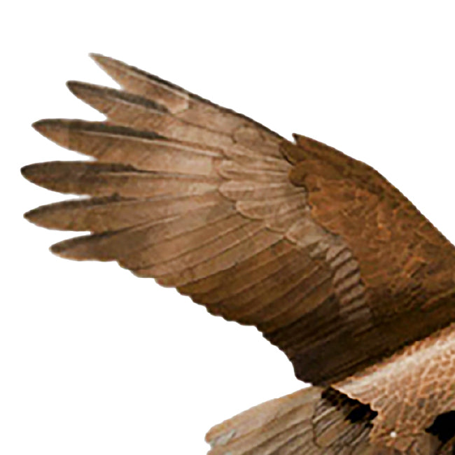 Jackite Bald Eagle Kite & Fiberglass Telescoping Pole