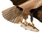 Jackite Bald Eagle Kite & Fiberglass Telescoping Pole