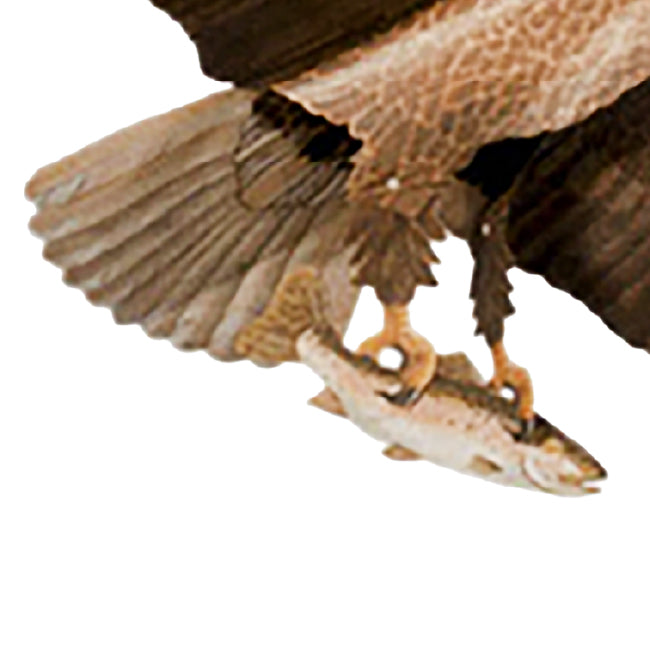 Jackite Bald Eagle Kite & Fiberglass Telescoping Pole