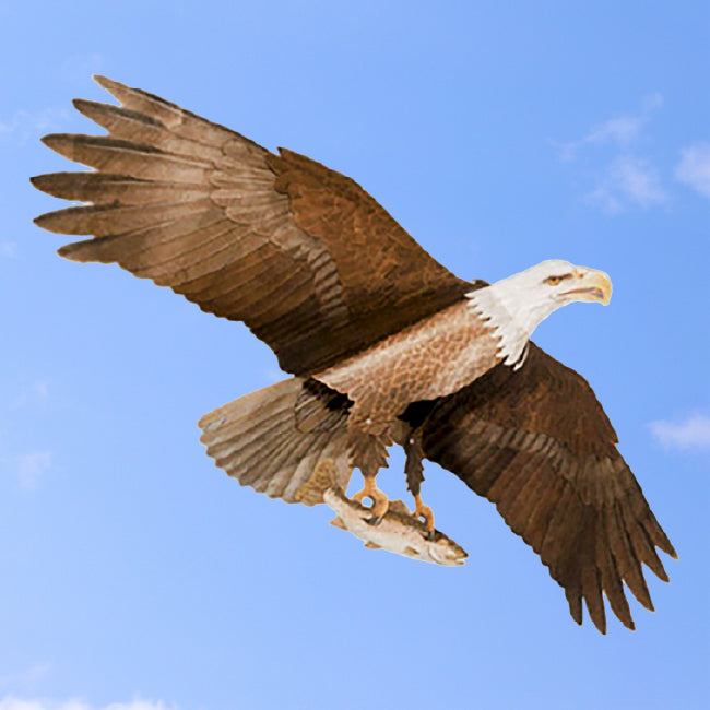 Jackite Bald Eagle Kite & Fiberglass Telescoping Pole