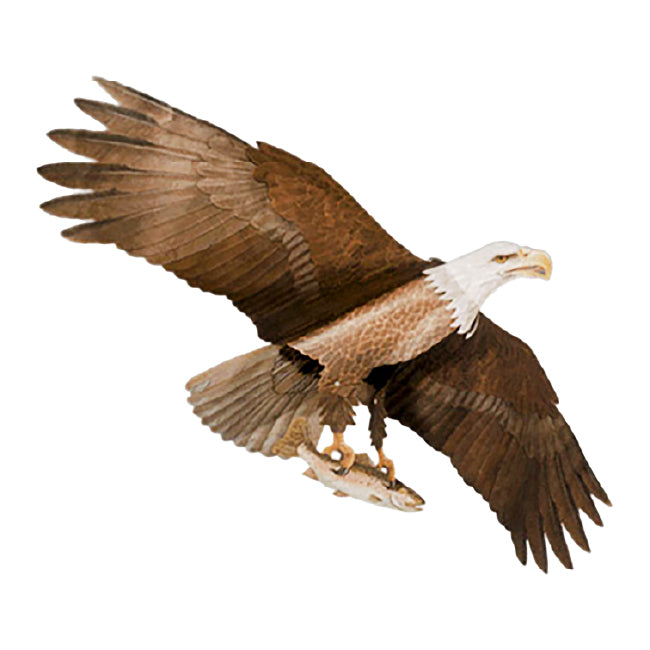 Jackite Bald Eagle Kite & Fiberglass Telescoping Pole