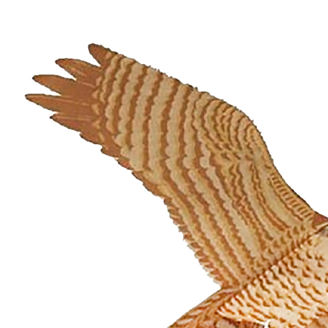Jackite Peregrine Falcon Kite Package
