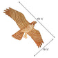 Jackite Peregrine Falcon Kite Package