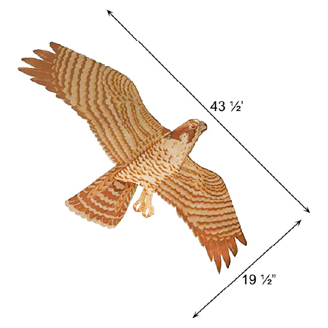 Jackite Peregrine Falcon Kite Package