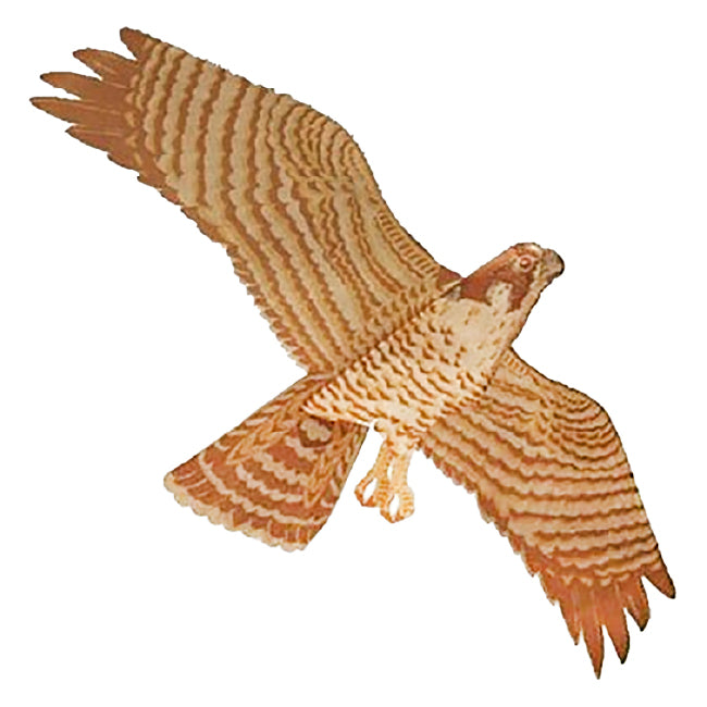 Jackite Peregrine Falcon Kite Package