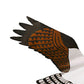 Jackite Osprey Kite & Fiberglass Telescoping Pole Kit