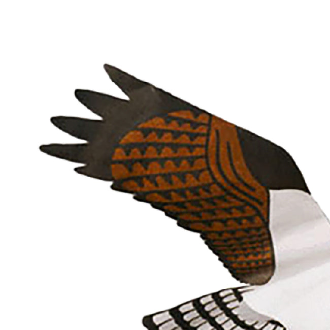 Jackite Osprey Kite & Fiberglass Telescoping Pole Kit