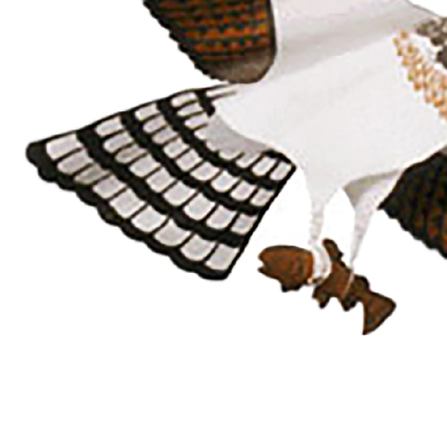 Jackite Osprey Kite & Fiberglass Telescoping Pole Kit