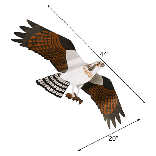 Jackite Osprey Kite & Fiberglass Telescoping Pole Kit