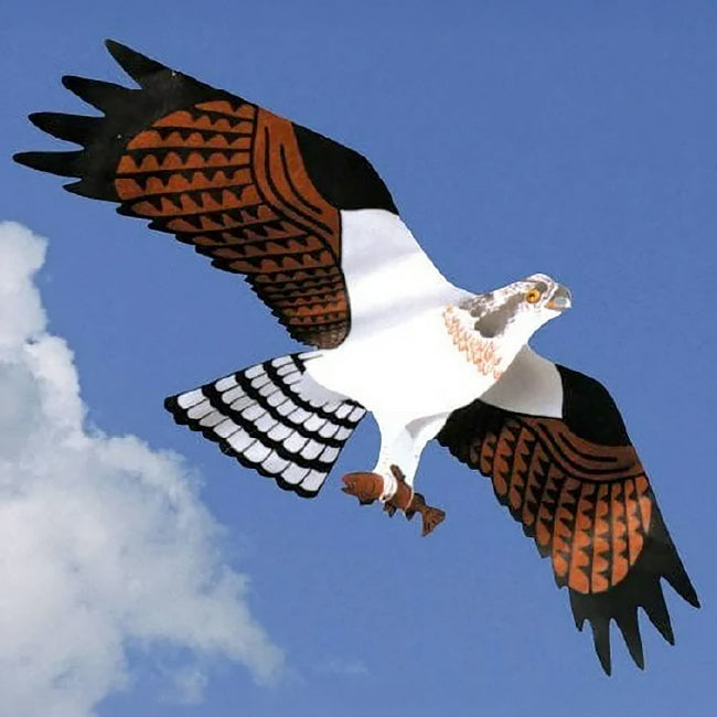 Jackite Osprey Kite & Fiberglass Telescoping Pole Kit