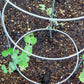 Panacea Round Tomato & Pepper Towers, Galvanized, Pack of 20