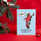 Illustrated Seasonal Greeting Card Package by Prime Retreat