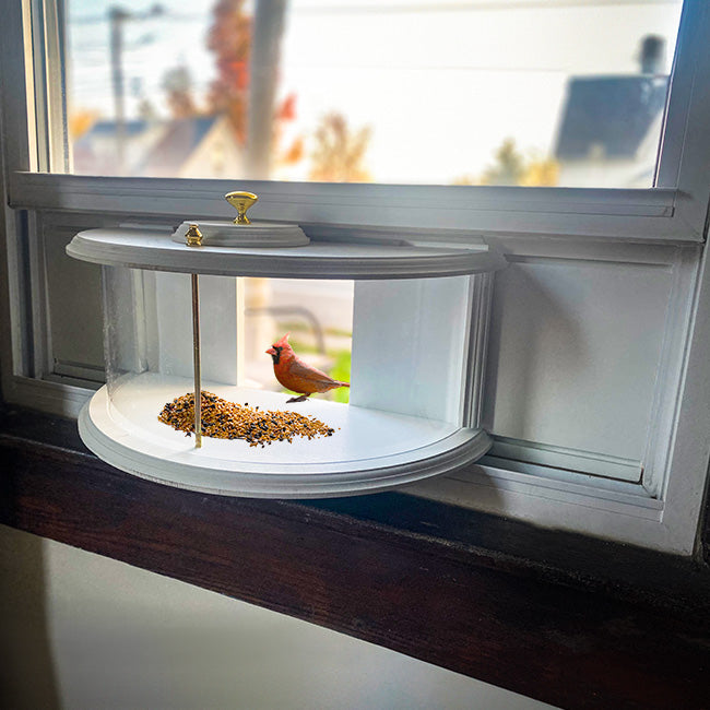 ClearView Window Bird Feeder by Prime Retreat