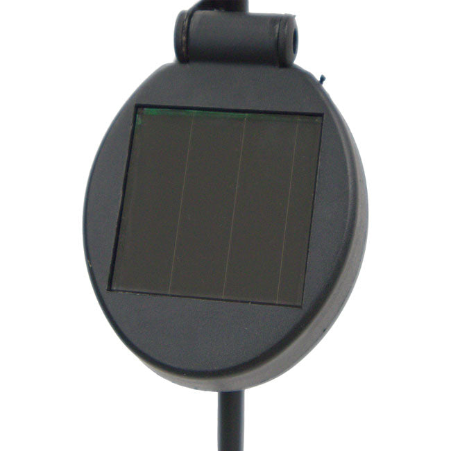 Regal Night Sky Eagle Solar Stake