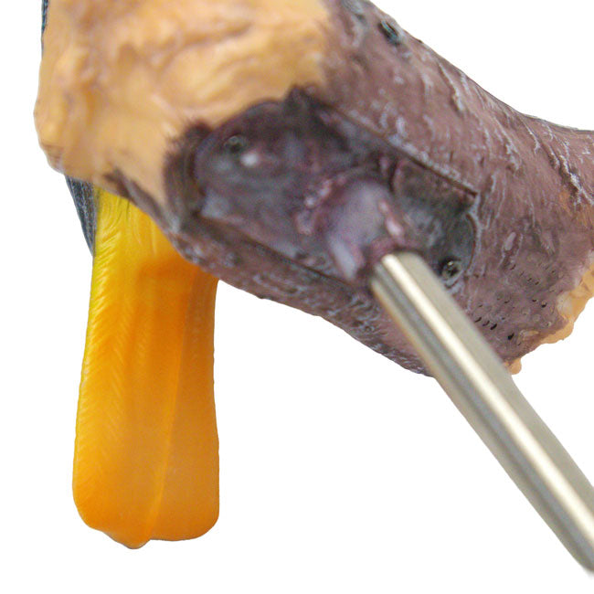 Regal Songbird Solar/Sound Stake Oriole