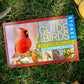 Stokes Beginner's Guide to Birds, East