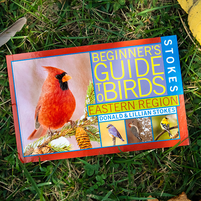 Stokes Beginner's Guide to Birds, East