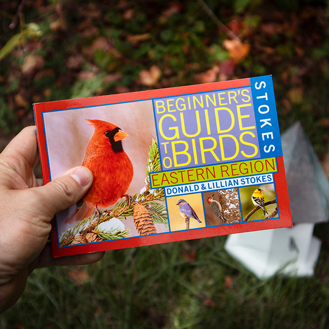 Stokes Beginner's Guide to Birds, East