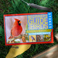 Stokes Beginner's Guide to Birds, East