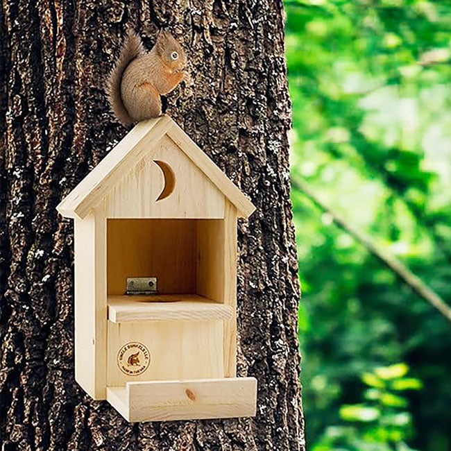 Uncle Dunkel's Outhouse Squirrel Feeder