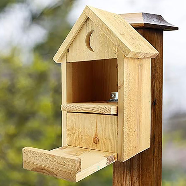 Uncle Dunkel's Outhouse Squirrel Feeder