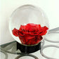 Achla Designs Flower Aquarium